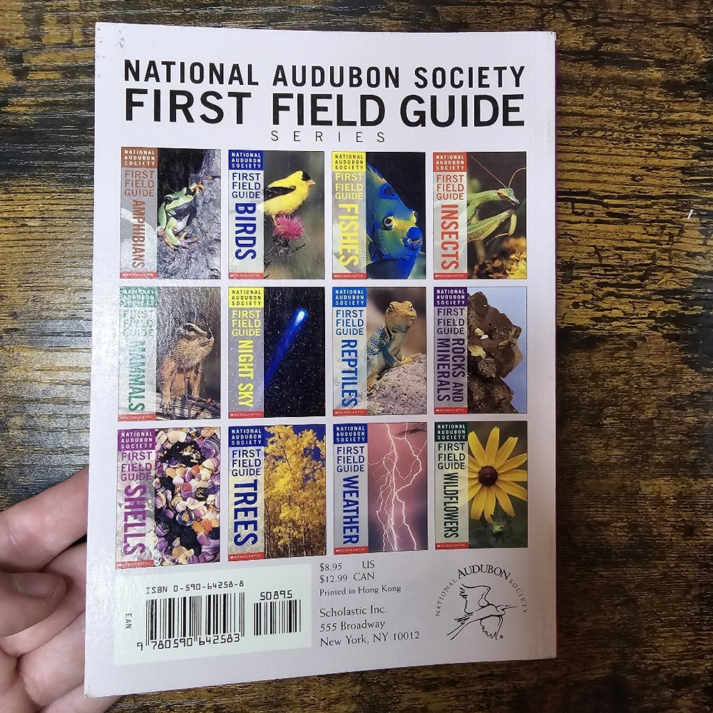 National Audubon Society First Field Guide: Shells - Picture 4 of 4
